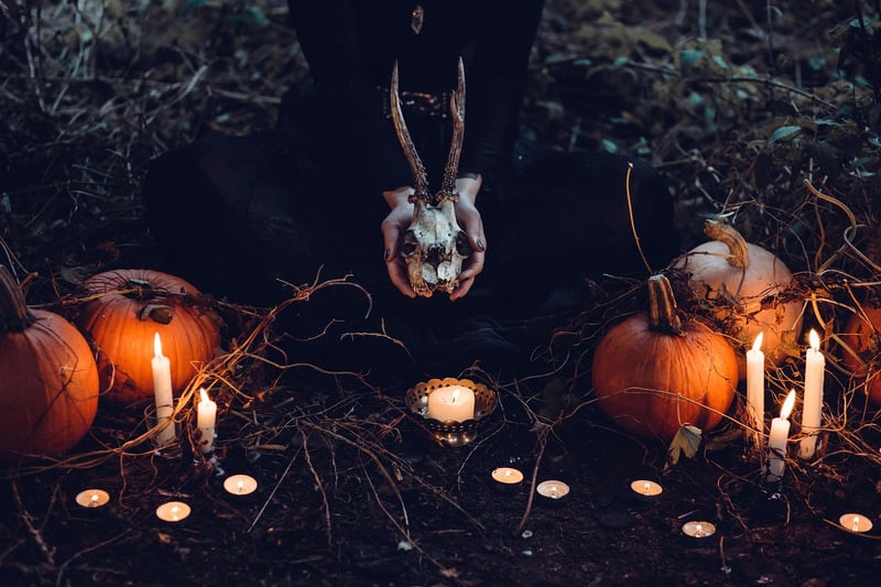 Witchcraft Botany
