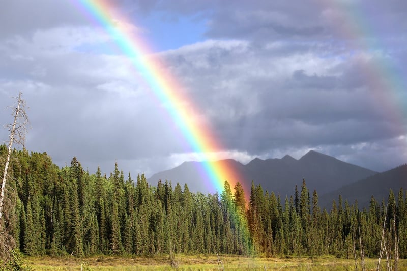 Unicorn in a magical landscape